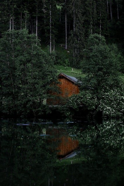 hut, lake, forest, sea, reflection, nature, trees, tranquil, meditation, calm, nature, nature, nature, nature, nature